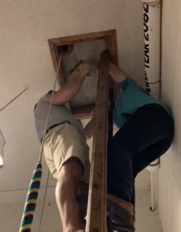 people on ladder
